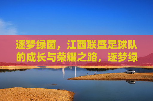 逐梦绿茵，江西联盛足球队的成长与荣耀之路，逐梦绿茵，江西联盛足球队的成长与荣耀之路