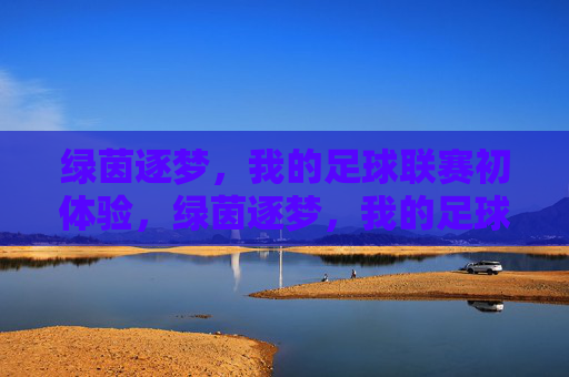 绿茵逐梦,我的足球联赛初体验,绿茵逐梦,我的足球联赛初体验