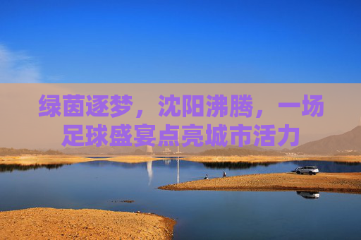 绿茵逐梦，沈阳沸腾，一场足球盛宴点亮城市活力
