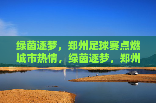 绿茵逐梦,郑州足球赛点燃城市热情,绿茵逐梦,郑州足球赛点燃城市热情