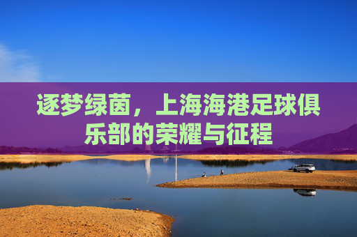 逐梦绿茵，上海海港足球俱乐部的荣耀与征程