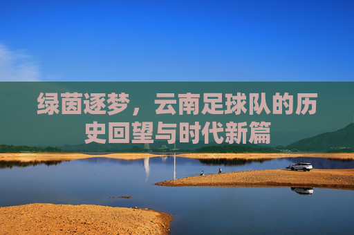 绿茵逐梦,云南足球队的历史回望与时代新篇