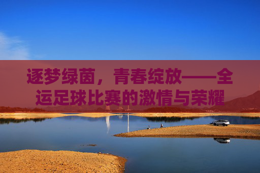 逐梦绿茵,青春绽放——全运足球比赛的激情与荣耀