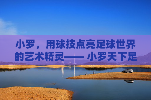 小罗，用球技点亮足球世界的艺术精灵—— 小罗天下足球的传奇与影响，小罗，用球技点亮足球世界的艺术精灵，天下足球的传奇与影响