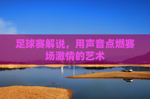 足球赛解说，用声音点燃赛场激情的艺术