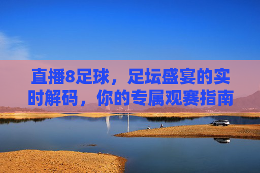 直播8足球，足坛盛宴的实时解码，你的专属观赛指南，直播8足球，足坛盛宴的实时解码，你的专属观赛指南