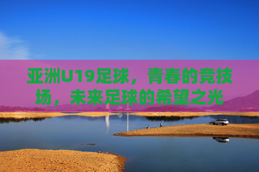 亚洲U19足球，青春的竞技场，未来足球的希望之光