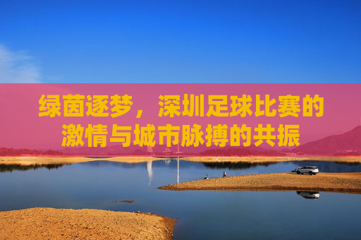 绿茵逐梦，深圳足球比赛的激情与城市脉搏的共振