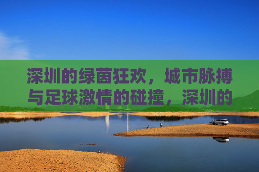 深圳的绿茵狂欢,城市脉搏与足球激情的碰撞,深圳的绿茵狂欢,城市脉搏与足球激情的碰撞