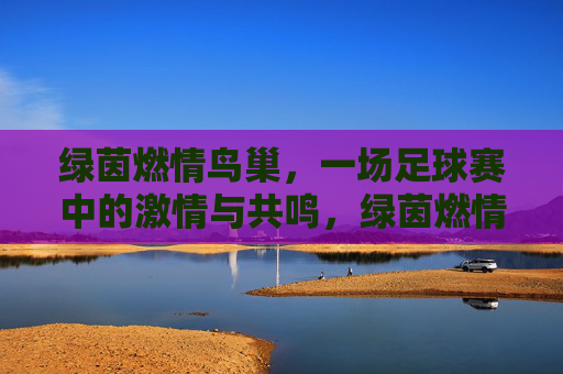 绿茵燃情鸟巢，一场足球赛中的激情与共鸣，绿茵燃情鸟巢，一场足球赛中的激情与共鸣