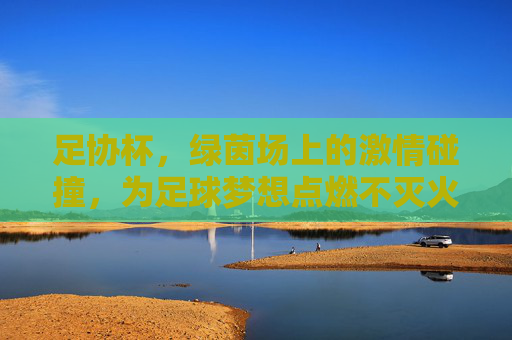足协杯，绿茵场上的激情碰撞，为足球梦想点燃不灭火种