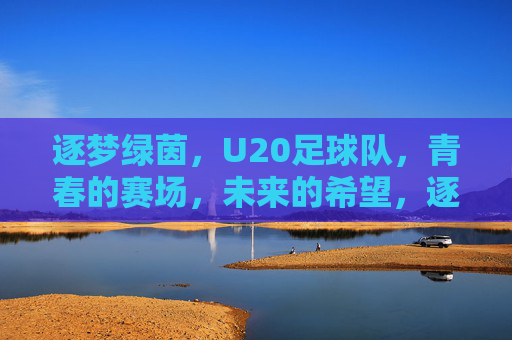 逐梦绿茵，U20足球队，青春的赛场，未来的希望，逐梦绿茵，U20足球队，青春的赛场，未来的希望