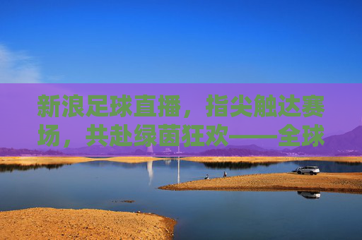 新浪足球直播,指尖触达赛场,共赴绿茵狂欢——全球球迷的实时盛宴,新浪足球直播,指尖触达赛场,共赴绿茵狂欢——全球球迷的实时盛宴