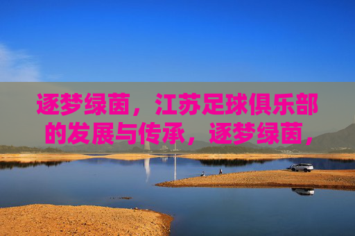 逐梦绿茵，江苏足球俱乐部的发展与传承，逐梦绿茵，江苏足球俱乐部的发展与传承