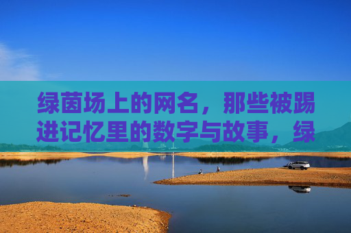 绿茵场上的网名,那些被踢进记忆里的数字与故事,绿茵场上的网名,那些被踢进记忆里的数字与故事