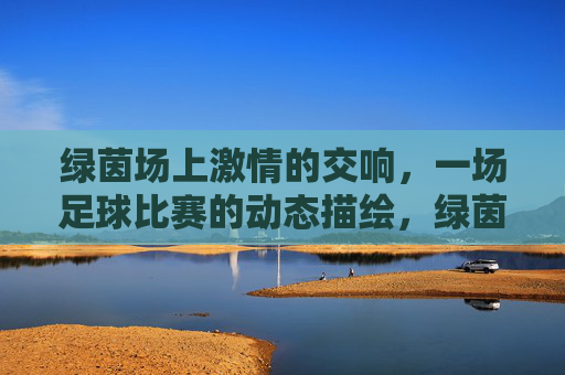 绿茵场上激情的交响，一场足球比赛的动态描绘，绿茵场上激情的交响，一场足球比赛的动态描绘