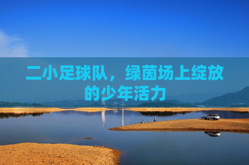 二小足球队，绿茵场上绽放的少年活力