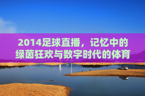 2014足球直播,记忆中的绿茵狂欢与数字时代的体育盛宴,2014足球直播,记忆中的绿茵狂欢与数字时代的体育盛宴