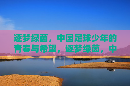 逐梦绿茵，中国足球少年的青春与希望，逐梦绿茵，中国足球少年的青春与希望