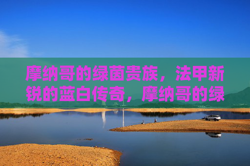 摩纳哥的绿茵贵族,法甲新锐的蓝白传奇,摩纳哥的绿茵贵族,法甲新锐的蓝白传奇