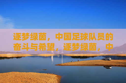 逐梦绿茵，中国足球队员的奋斗与希望，逐梦绿茵，中国足球队员的奋斗与希望