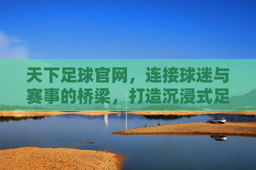 天下足球官网，连接球迷与赛事的桥梁，打造沉浸式足球体验，天下足球官网，连接球迷与赛事的桥梁，打造沉浸式足球体验