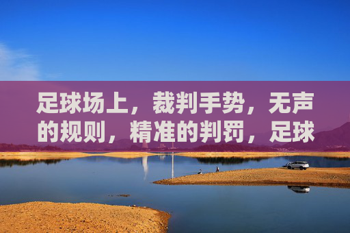 足球场上,裁判手势,无声的规则,精准的判罚,足球场上,裁判手势,无声的规则与精准判罚