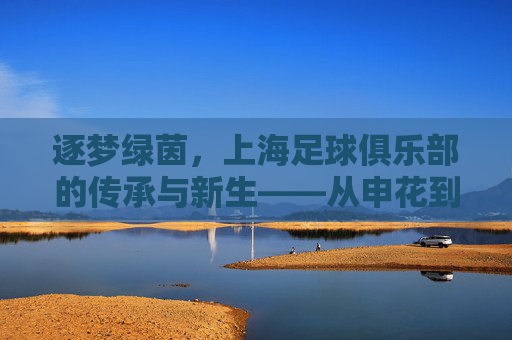 逐梦绿茵,上海足球俱乐部的传承与新生——从申花到上港的百年足球故事