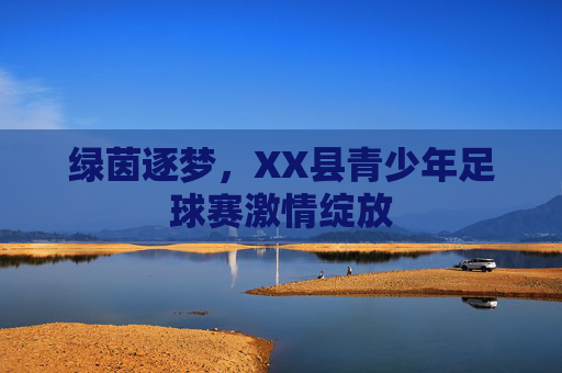 绿茵逐梦,XX县青少年足球赛激情绽放