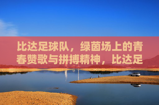比达足球队，绿茵场上的青春赞歌与拼搏精神，比达足球队，绿茵场上的青春赞歌与拼搏精神