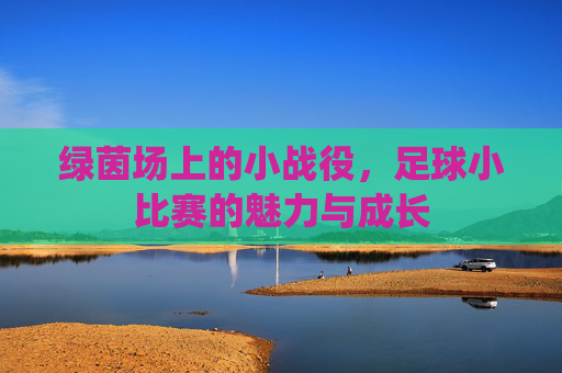 绿茵场上的小战役，足球小比赛的魅力与成长