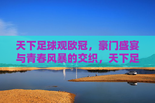 天下足球观欧冠，豪门盛宴与青春风暴的交织，天下足球观欧冠，豪门盛宴与青春风暴的交织