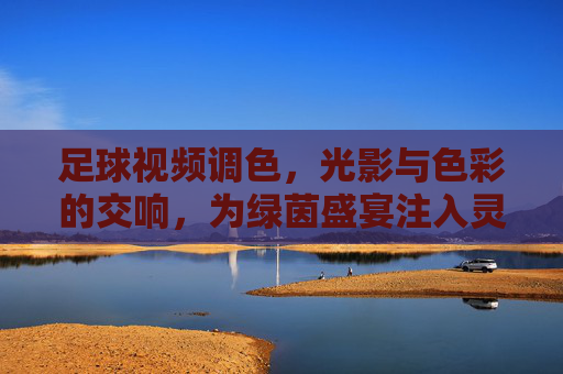 足球视频调色，光影与色彩的交响，为绿茵盛宴注入灵魂，足球视频调色，光影与色彩的交响，为绿茵盛宴注入灵魂