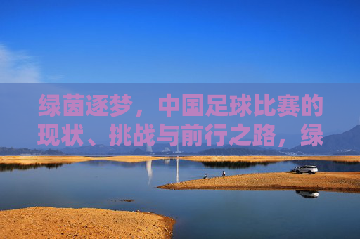 绿茵逐梦，中国足球比赛的现状、挑战与前行之路，绿茵逐梦，中国足球比赛的现状、挑战与前行之路