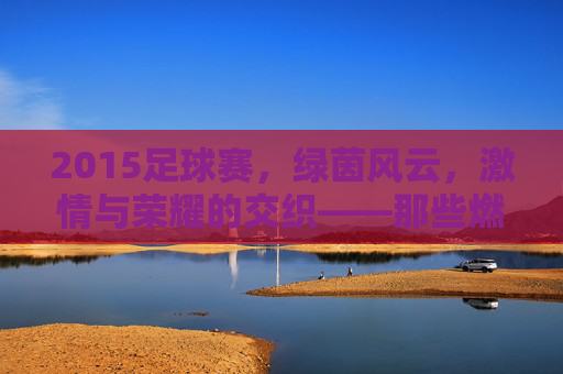 2015足球赛，绿茵风云，激情与荣耀的交织——那些燃烧的瞬间与永恒的回忆，2015足球赛，绿茵风云，激情与荣耀的交织——那些燃烧的瞬间与永恒的回忆