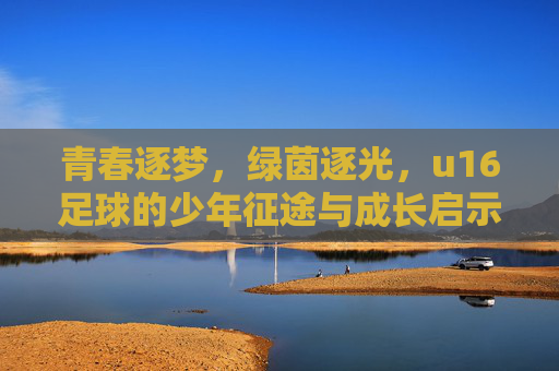青春逐梦,绿茵逐光,u16足球的少年征途与成长启示,青春逐梦,绿茵逐光,u16足球少年的征途与成长启示