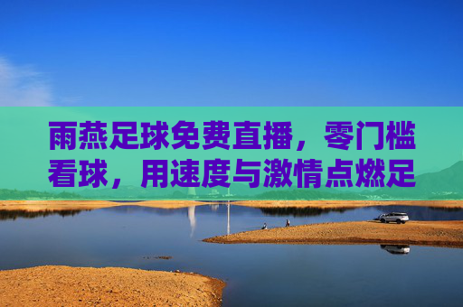 雨燕足球免费直播,零门槛看球,用速度与激情点燃足球热情,雨燕足球免费直播,零门槛看球,以速度与激情点燃足球热情