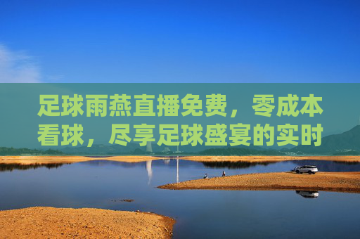 足球雨燕直播免费，零成本看球，尽享足球盛宴的实时精彩，足球雨燕直播免费，零成本看球，尽享足球盛宴实时精彩