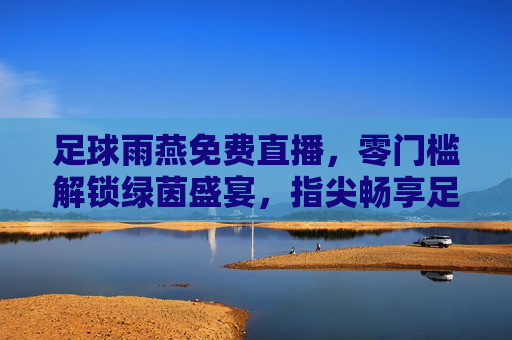 足球雨燕免费直播，零门槛解锁绿茵盛宴，指尖畅享足球魅力，足球雨燕免费直播，零门槛解锁绿茵盛宴，指尖畅享足球魅力