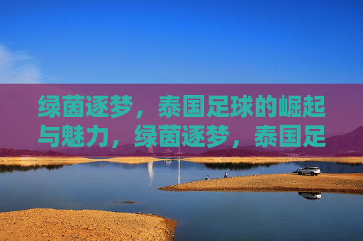 绿茵逐梦，泰国足球的崛起与魅力，绿茵逐梦，泰国足球的崛起与魅力