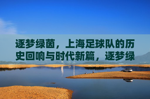 逐梦绿茵,上海足球队的历史回响与时代新篇,逐梦绿茵,上海足球队的历史回响与时代新篇