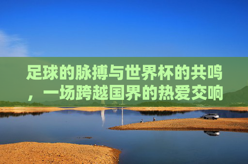 足球的脉搏与世界杯的共鸣，一场跨越国界的热爱交响，足球的脉搏与世界杯的共鸣，一场跨越国界的热爱交响