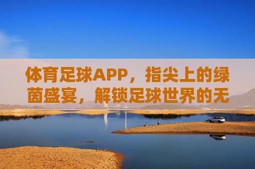 体育足球APP,指尖上的绿茵盛宴,解锁足球世界的无限可能,体育足球APP,指尖上的绿茵盛宴,解锁足球世界的无限可能