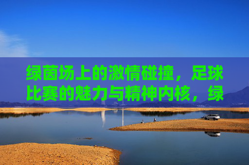 绿茵场上的激情碰撞，足球比赛的魅力与精神内核，绿茵场上的激情碰撞，足球比赛的魅力与精神内核