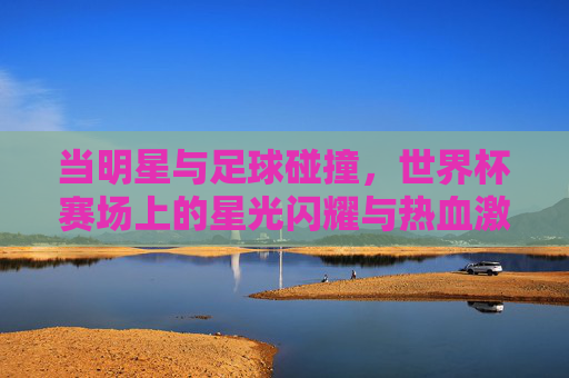 当明星与足球碰撞，世界杯赛场上的星光闪耀与热血激情，当明星与足球碰撞，世界杯赛场上的星光闪耀与热血激情
