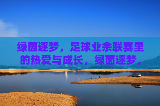 绿茵逐梦，足球业余联赛里的热爱与成长，绿茵逐梦，足球业余联赛里的热爱与成长