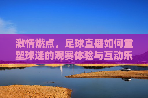 激情燃点,足球直播如何重塑球迷的观赛体验与互动乐趣,激情燃点,足球直播如何重塑球迷的观赛体验与互动乐趣