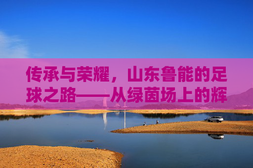 传承与荣耀，山东鲁能的足球之路——从绿茵场上的辉煌到新时代的坚守，传承与荣耀，山东鲁能的足球之路——从绿茵场上的辉煌到新时代的坚守