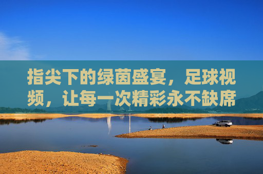指尖下的绿茵盛宴,足球视频,让每一次精彩永不缺席