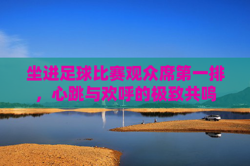 坐进足球比赛观众席第一排，心跳与欢呼的极致共鸣